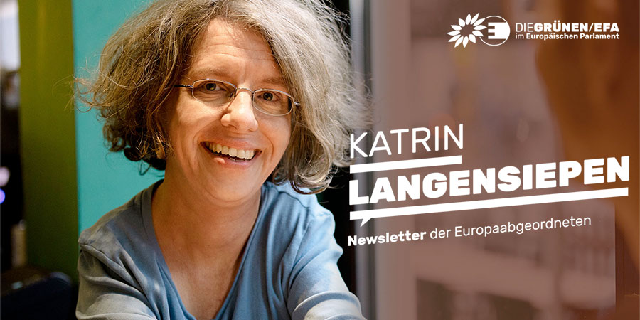 Katrin Langensiepen, MdEP